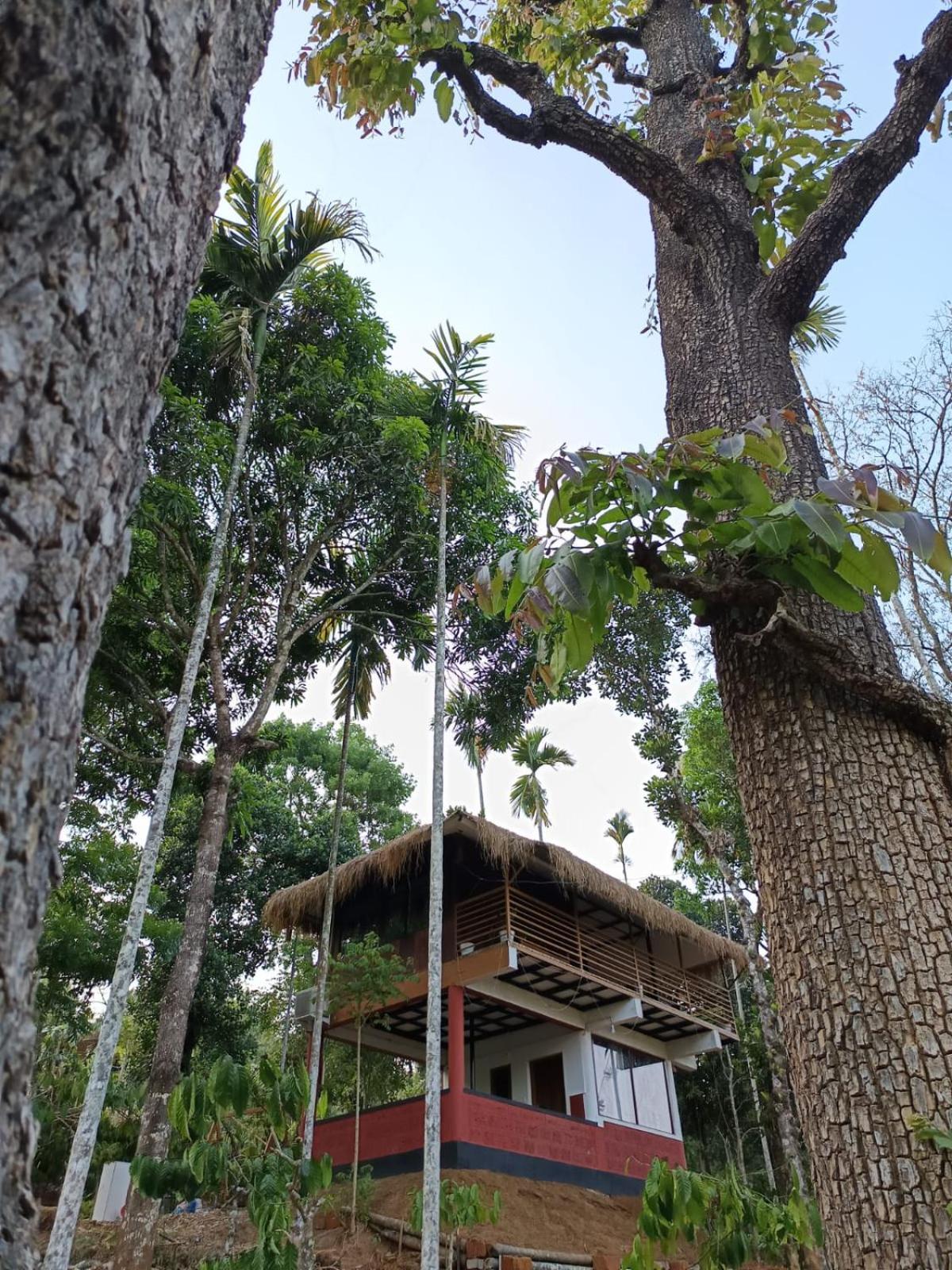 Kuruva Shoreline Wayanad Chegat Exterior photo